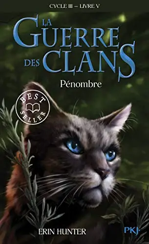 Illustration de Pénombre