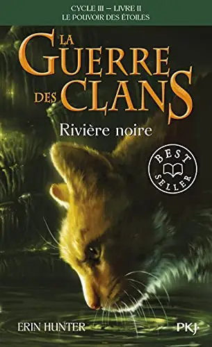 Illustration de Rivière noire