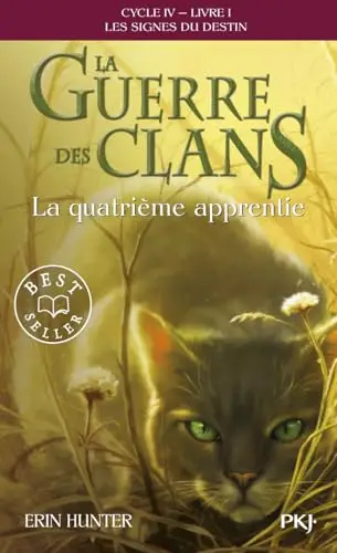 Illustration de La quatrième apprentie