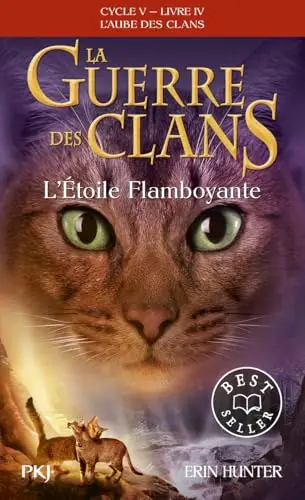 Illustration de L'étoile flamboyante