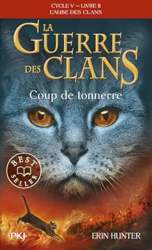 Illustration de Coup de tonnerre