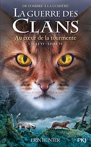 Illustration de Au coeur de la tourmente
