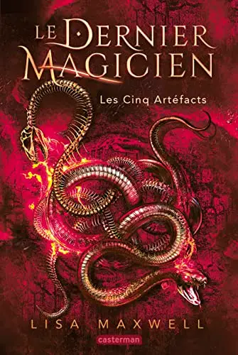 Illustration de Les cinq artéfacts