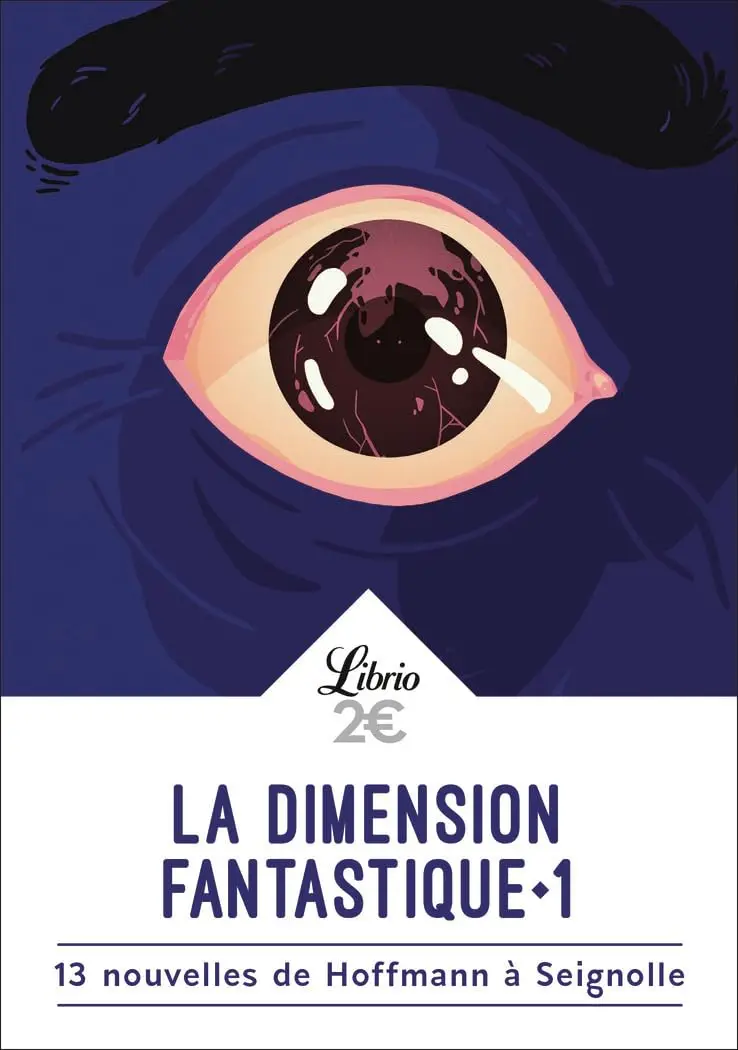 Illustration de La dimension fantastique