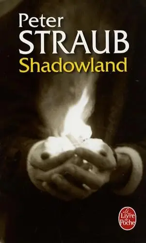 Illustration de Shadowland