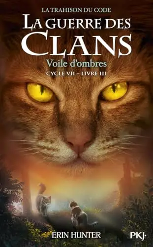 Illustration de Voile d’ombres