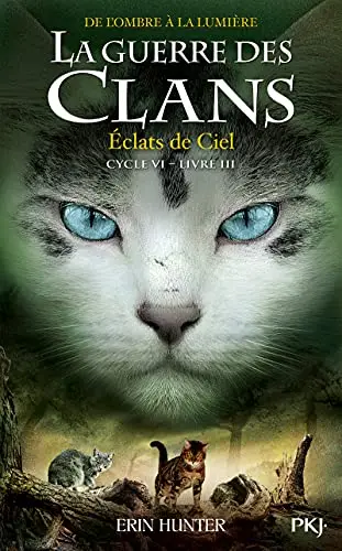 Illustration de Éclats de ciel