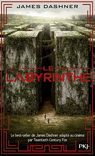 Illustration de Le Labyrinthe