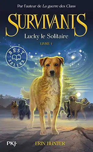 Illustration de Lucky le solitaire